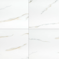 ARIA BIANCO  24 X 24 POLISHED TILE 4pcs/box. 160pcs/crate.  16sqft/box