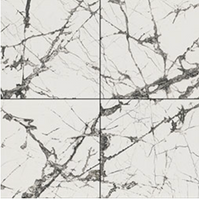 EXOTIKA LUX ICEBERG 48 X 48 POLISHED TILE.            1pcs/box     36pcs/crate.     15.5sqft/box