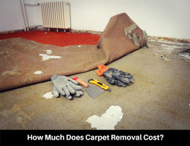 Carpet Flooring  Removal And Disposal