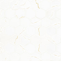 MIRRAGIO GOLD 2 X 2 MATTE HEXAGON MOSAIC         10pcs/box.  480pcs/crate.    10sqft/box