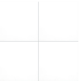 DOMINO WHITE 24 X 24 POLISHED TILE.        3pcs/box.  144pcs/crate     12sqft/box