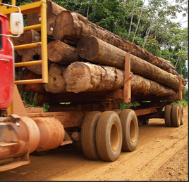 Delaware State wood  Delivery