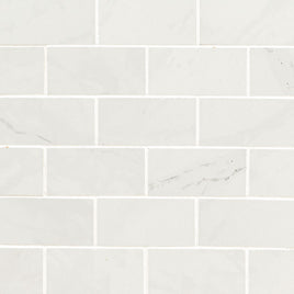 ARIA ICE 2 X 4 POLISHED MOSAIC   8pcs/box.  504pcs/crate.  8sqft/box