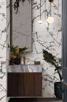 EXOTIKA LUX ICEBERG 24 X 48 POLISHED TILE.            2pcs/box     64pcs/crate.       15.5sqft/box