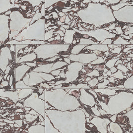 EXOTIKA VIOLETTA 24 X 48 POLISHED TILE          2pcs/box.  64pcs/crate.    16sqft/box