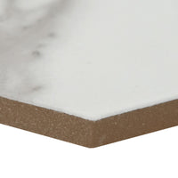 HEXLEY MARBELLO 9 X 10.5 MATTE HEXAGON TILE  14pcs/box.    840pcs/crate    6.88sqft/box