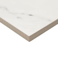 ARIA ICE 24 X 48 POLISHED PORCELAIN TILE   2pcs/box.  54pcs/crate.  16sqft/box