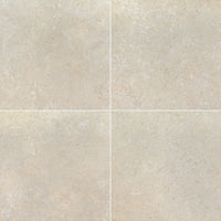 LIVINGSTYLE PEARL 24 X 24 X 2 CM MATTE PAVER.    2pcs/box.    64pcs/crate.    8sqft/box