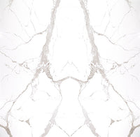 STATUARIO SILVER 63 X 126 MATTE PORCELAIN.          12MM